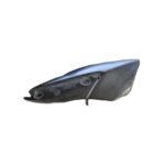 آهن جاپایی عقب راست PCX150 با کد فنی (50730-K97-T00) (هوندا)