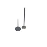 سوپاپ بنلی 250 تک سیلندر (کوکما)