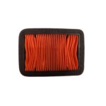 فیلتر هوا بنلی 250 تک سیلندر جدید با کد فنی (B-23-016) (کوکما)