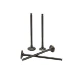 سوپاپ دود NMAX155 با کد فنی (B3F-E2121-00) (اندونزی) (یاماها)