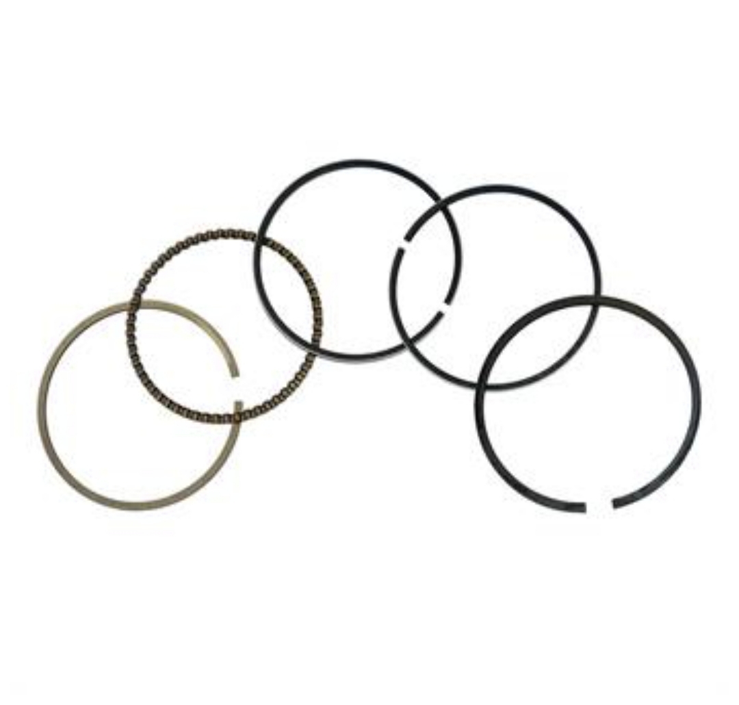 Single ring with size 100-125 DY-DTC Rapido رینگ تکی با سایز 100-125 DY-DTC راپیدو - Image 1