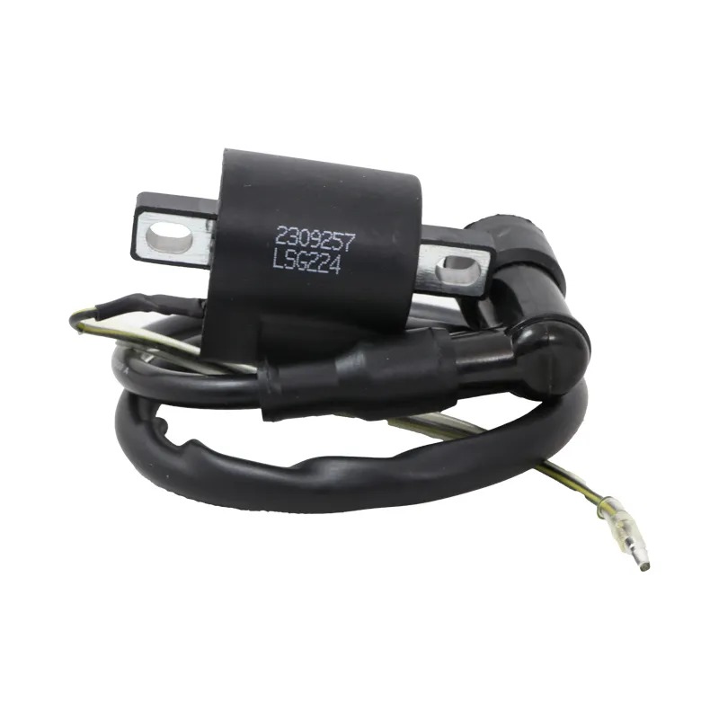Single-terminal ignition coil with Lion-brand lacq کوئل تک فیش با سرشمع لاکی لیون - تصویر 1